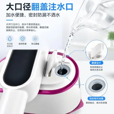 Handheld Garment Steamer