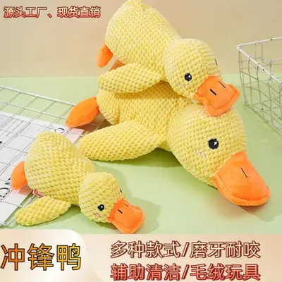 EVA宠物玩具狗狗飞盘自嗨解闷宠物球狗拉环耐咬狗狗玩具宠物用品