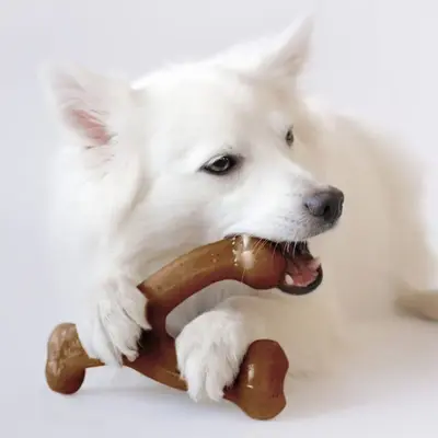 Durable Dog Chew Stick for Teeth Cleaning, for Aggressive Chewers