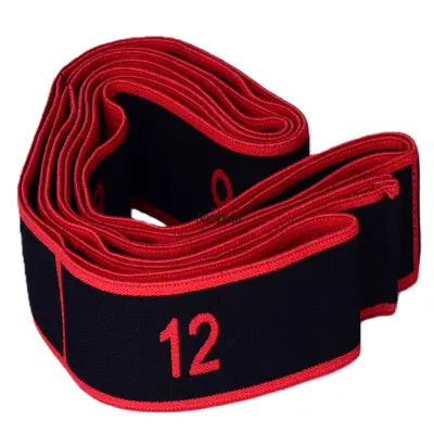 Numbwin Yoga Pilates 12-Level Stretch Band - 8