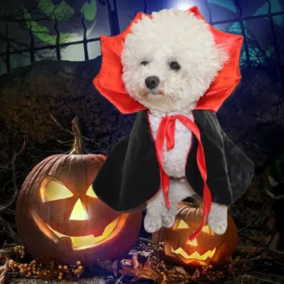 Pet Cape for Halloween, Cat and Small Dog Dress, Adjustable
