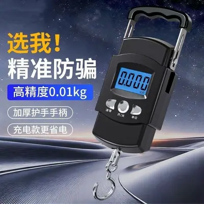 Mini electronic scale 98kg, hanging hook type