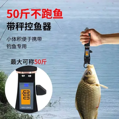 A8C digitale Fischwaage, elektronisch