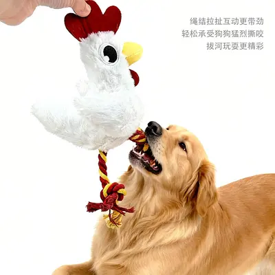 Plush Squeaky Chicken Dog Toy, Knotted Rope, Durable, Tug-of-War - 4
