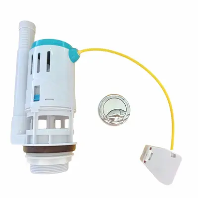 2-Inch Split Button Toilet Drain Valve, Dual-Flush, European Standard