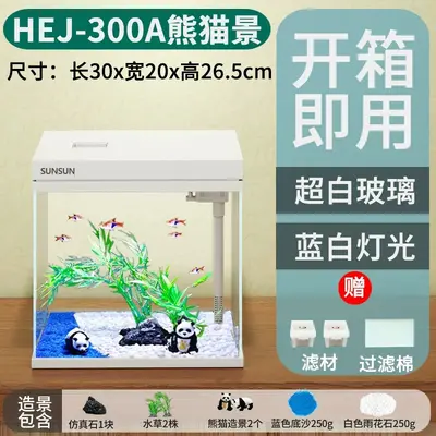 HEJ Mini-Aquarium aus extra klarem Glas mit Sauerstoffanreicherung, Tischaquarium - 10