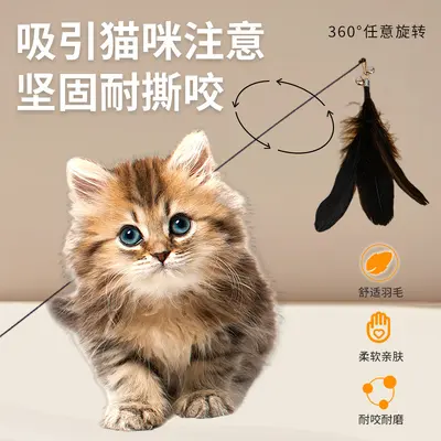 CFA Show-Grade Cat Toy Teaser Wand Long Rod Replacement Head Cat Toy Chew-Resistant Self-Play Pet Supplies Wholesale - 3