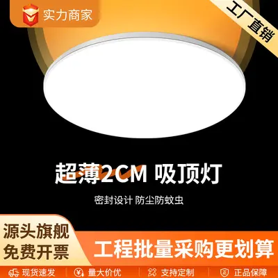 Round LED Ceiling Light, Triple-Proof, Modern Minimalist, Eye-Protection