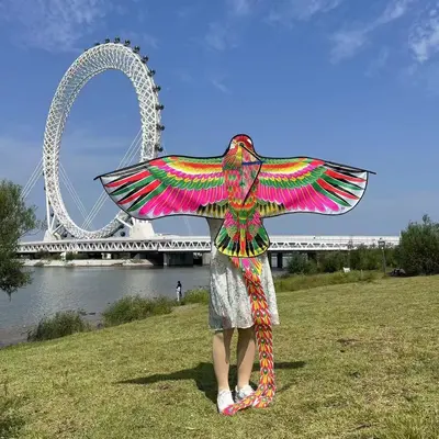 Rainbow Phoenix Kite for Adults, with Front Pole - 10