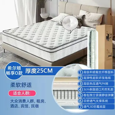 30cm Independent Spring Roll-Up Vacuum Compressed Mattress, Thick and Ultra Soft - 10