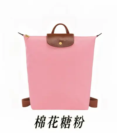 Dragon Inlay Large Nylon Foldable Waterproof Backpack - 10