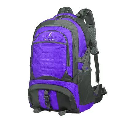 Large Capacity Mountaineering and Outdoor Travel Backpack - 12