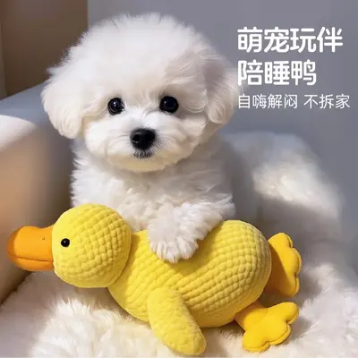 狗狗玩具毛绒小黄鸭解闷发声小型犬宠物玩具大小狗比熊自嗨磨牙棒