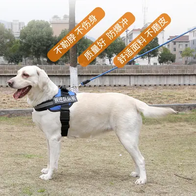K9 Vest-Style Dog Harness and Leash for Medium and Large Dogs