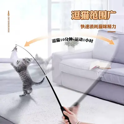 Retractable Cat Teaser Wand with Feather Replacement Heads and Bell, for Kittens - 5
