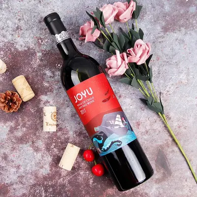 Fransız Cabernet Sauvignon Merlot Kuru Kırmızı Şarap 6'lı Kutu - 11