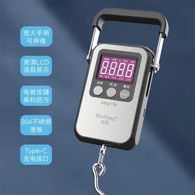 Portable Handheld Electronic Scale Model A35, Precise, Hanging Spring Scale