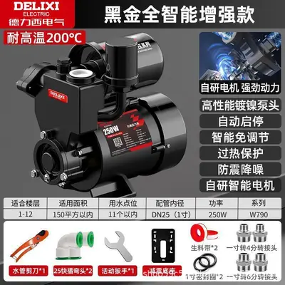 Delixi Household Silent Booster Pump 220V Self-Priming - 8
