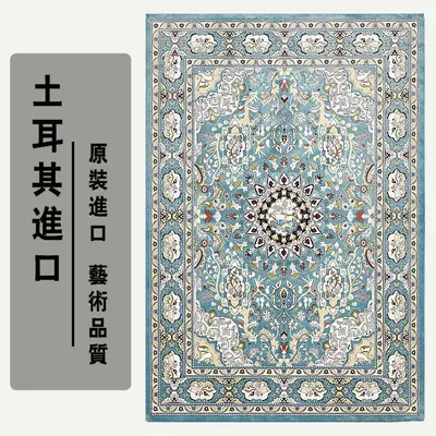 Turkish Style Non-Slip Bedroom Rug, Stain-Resistant, Thick Ethnic Pattern