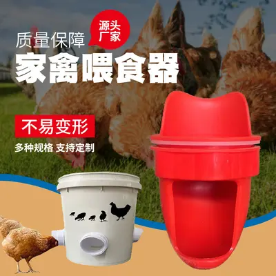 Gravity poultry feeder and automatic water container for chickens and ducks