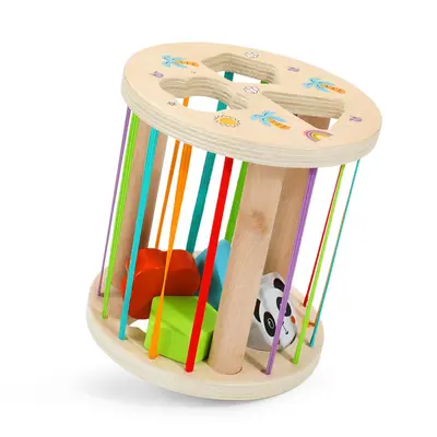 12-Hole Shape Matching Intelligence Box with 19 Building Blocks - 8