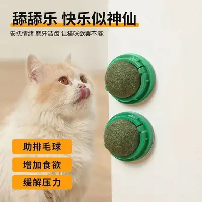 Catnip Ball Cat Toy, Durable Chew Toy with Teeth Cleaning and Boredom Relief - 3