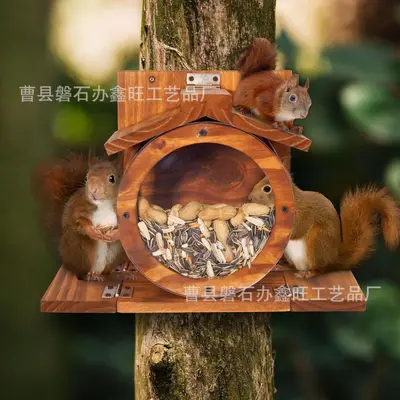 Wooden Wall-Mounted Squirrel and Bird Feeder, Outdoor, Double-Sided Feeding Holes
