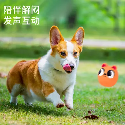 Werksdirektverkauf Haustier Latex-Spielzeug Spinne Marienkäfer Latex quietschendes Spielzeug Scherzartikel realistische Insekten Hundespielzeug