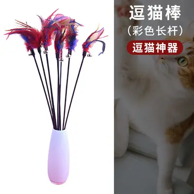 Federangel für Katzen, Stahldraht, elastisch, bissfest, 1 Stück - 12