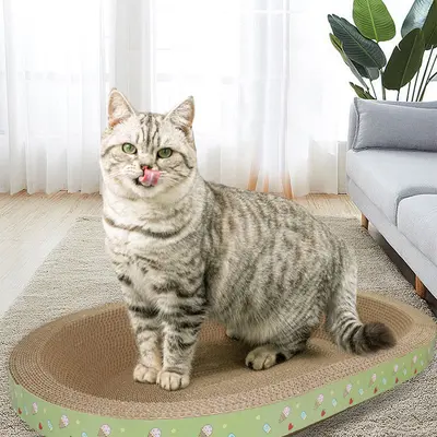 Thick Corrugated Cardboard Cat Scratcher Board with Cat Bed - 5
