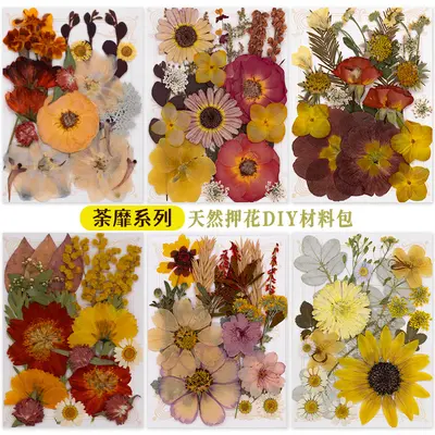 Neue DIY-Handarbeitsmaterialien Fotoaufkleber Klebstoff Lesezeichen Fotorahmen Materialpaket getrocknete Blumen geprägte echte Blumen Pflanzenpräparate