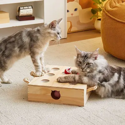 Solid Wood Cat Whack-a-Mole Toy, Interactive Educational Cat Toy - 4