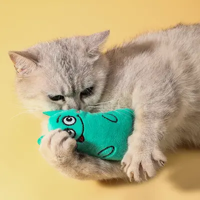 Plush cat toy with catnip and tailed design - 3