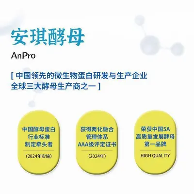 北欧海盗酵母蛋白粉2磅酸奶味健身运动营养补剂乳糖不耐受