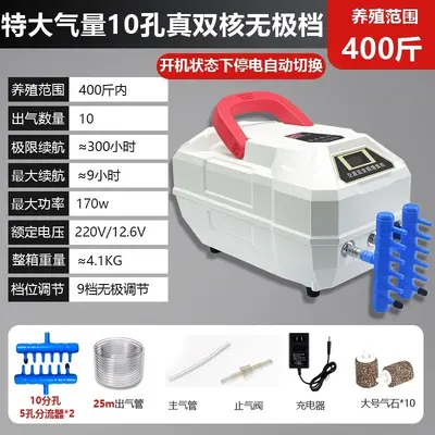 Rechargeable Outdoor Oxygen Pump, Lithium Battery, AC/DC - 9