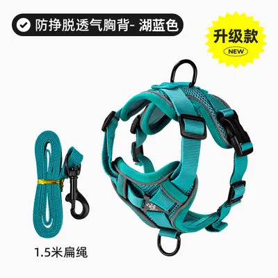 Small Dog Walking Harness Vest, Break-Resistant, for Cats and Dogs - 12