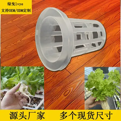 Plastic Hydroponic Vegetable Growing Basket with Blue Container, Soilless