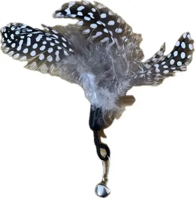 CFA Wooden Handle Spring Cat Teaser Wand with Replaceable Feathers - 12
