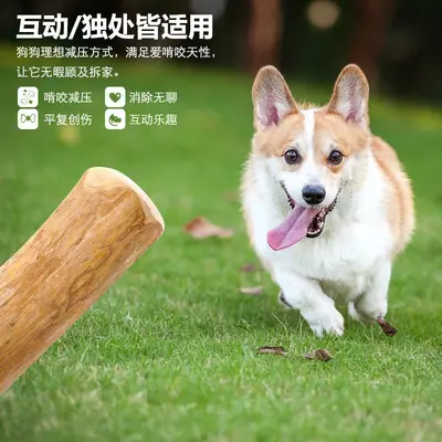 Natural Coffee Wood Dog Chew Stick, Durable Teeth Cleaning Chew Toy - 5