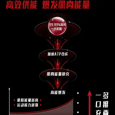 sparklevita湃力维肌酸锌镁一水肌酸粉运动健身补剂增肌爆发耐力