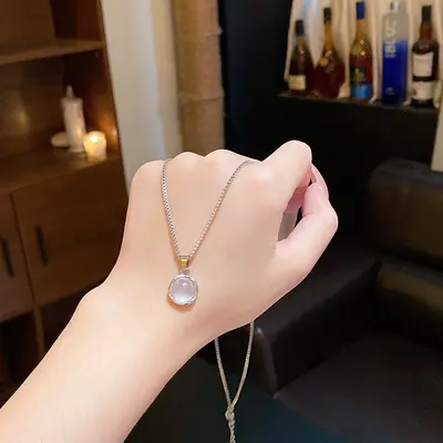 Lightweight luxury niche high-end titanium steel necklace elegant micro inlaid zirconia bridge bone chain fashion versatile temperament internet celebrity pendant - 12