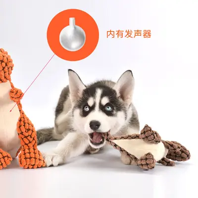 Durable Squeaky Dog Toy, Rope Knot Lizard Plush - 4
