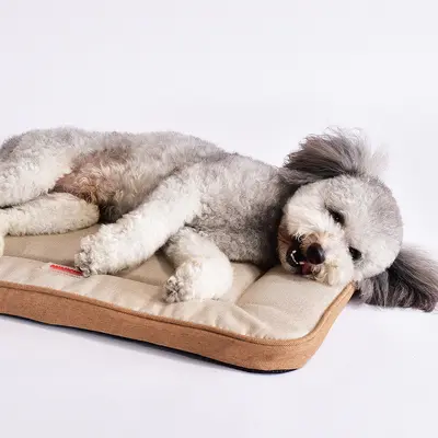 Haustier-Matte und Hundebett, für alle Jahreszeiten, Baumwolle