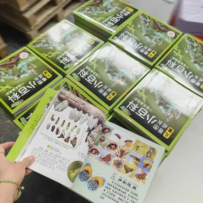 印刷幼儿园儿童绘本设计定制卡书03绘本幼儿园专用按斤小批量起订
