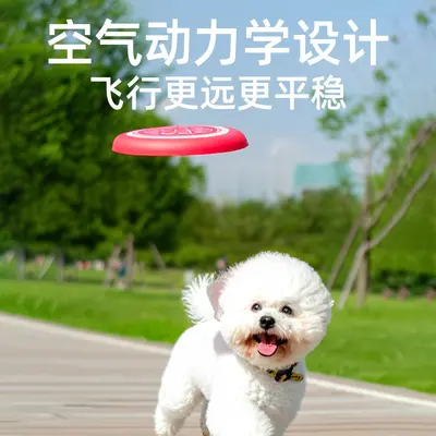 Fluorescent EVA Dog Frisbee, Soft and Bite-Resistant Training Disc - 5