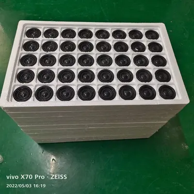 40mm Çift Mıknatıslı Bluetooth Hoparlör, 8 Ohm 5W Tam Aralıklı