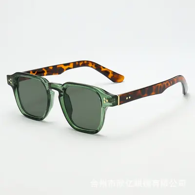 Women's and Men's Sunglasses UV400 Protection High Quality Fashion 2026 - 5