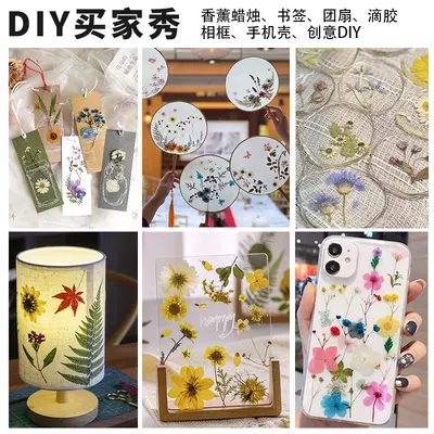 Neue DIY-Handarbeitsmaterialien Fotoaufkleber Klebstoff Lesezeichen Fotorahmen Materialpaket getrocknete Blumen geprägte echte Blumen Pflanzenpräparate
