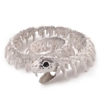 Halloween Simulated Animal Skeleton Horror Decoration Snake Skeleton