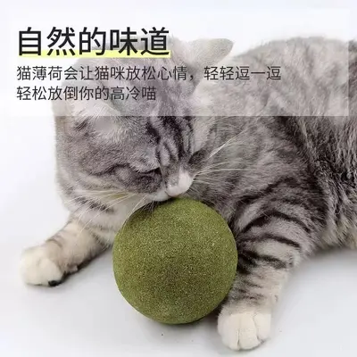10cm Oversized Catnip Ball Chew Toy for Cats - 3